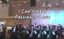 Can't Help Falling In Love video
