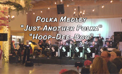 Polka Medley video